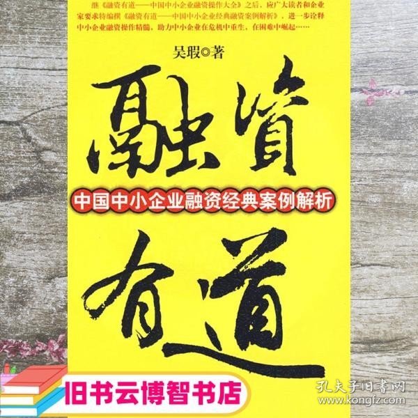 融资有道：中国中小企业融资经典案例解析