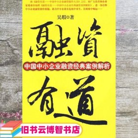 融资有道：中国中小企业融资经典案例解析