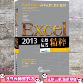 Excel 2013实战技巧精粹