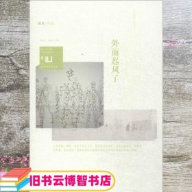 身份共同体70后作家大系：外面起风了