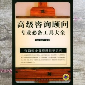 高级咨询顾问专业必备工具大全