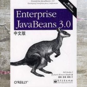 Enterprise JavaBeans 3.0中文版