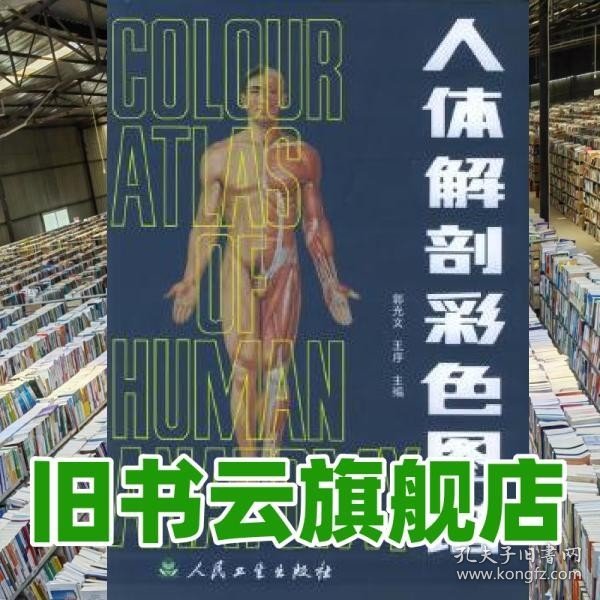 人体解剖彩色图谱