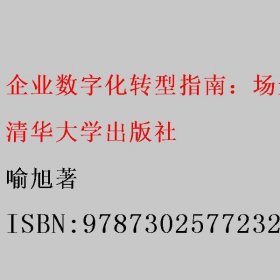 企业数字化转型指南：场景分析+IT实施+组织变革