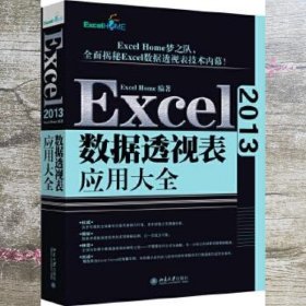 Excel 2013数据透视表应用大全