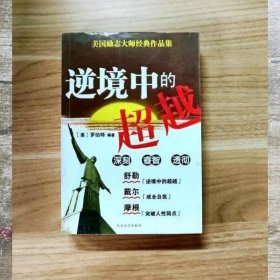 著名心理学家王极盛教授推荐并作序--逆境心理学 孤草 9787801710192 大众文艺出版社