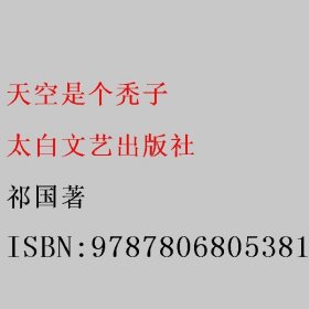 天空是个秃子 祁国著 太白文艺出版社 9787806805381