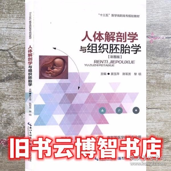 人体解剖学与组织胚胎学