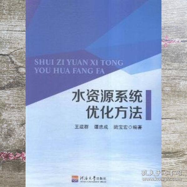 水资源系统优化方法 王建群 谭忠成 陆宝宏 河海大学出版社 9787563043491