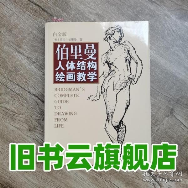 伯里曼人体结构绘画教学（白金版）