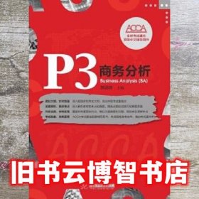 P3 商务分析