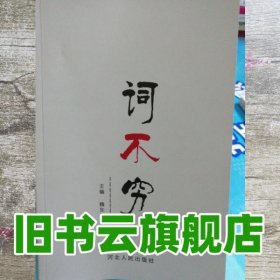 词不穷 魏东升 河北人民出版社 9787202123546