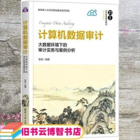 计算机数据审计(大数据环境下的审计实务与案例分析21世纪经济管理精品教材)/会计学系列