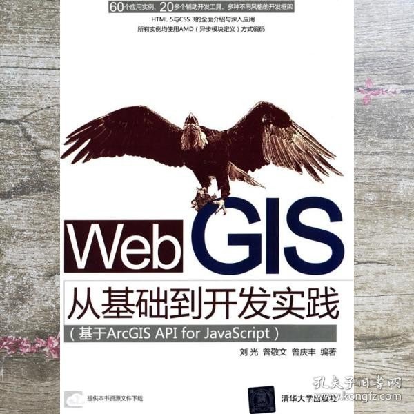 Web GIS从基础到开发实践：基于ArcGIS API for JavaScript