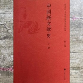 中国新文学史（下册）