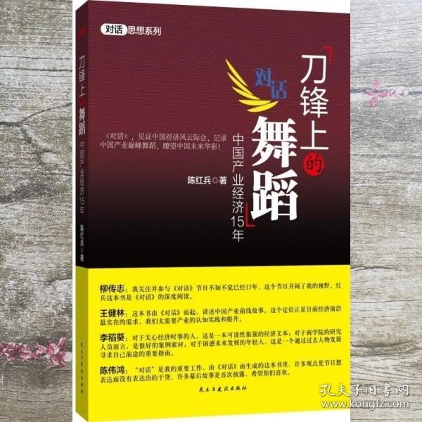 刀锋上的舞蹈：中国产业经济15年