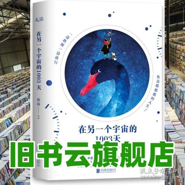 在另一个宇宙的1003天