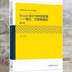 Excel会计与财务管理——理论、方案暨模型（第三版）
