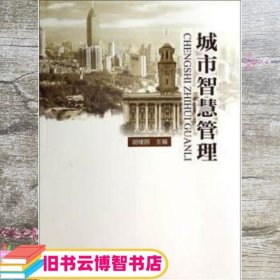 城市智慧管理 胡绪鹍 湖北人民出版社 9787216081351