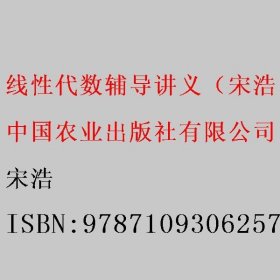 线性代数辅导讲义（宋浩） 宋浩 中国农业出版社有限公司 9787109306257