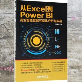 从Excel到PowerBI商业智能数据可视化分析与实战 祝泽文 中国铁道出版社 9787113244538