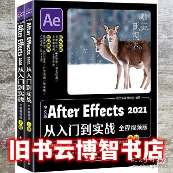 中文版After Effects 2021从入门到实战（全程视频版）（全两册）