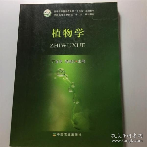 植物学 丁春邦 杨晓红 中国农业出版社 9787109188228