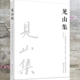 见山集：视觉形象系统设计、徽标设计、招贴设计、产品设计、包装设计及综合设计全案