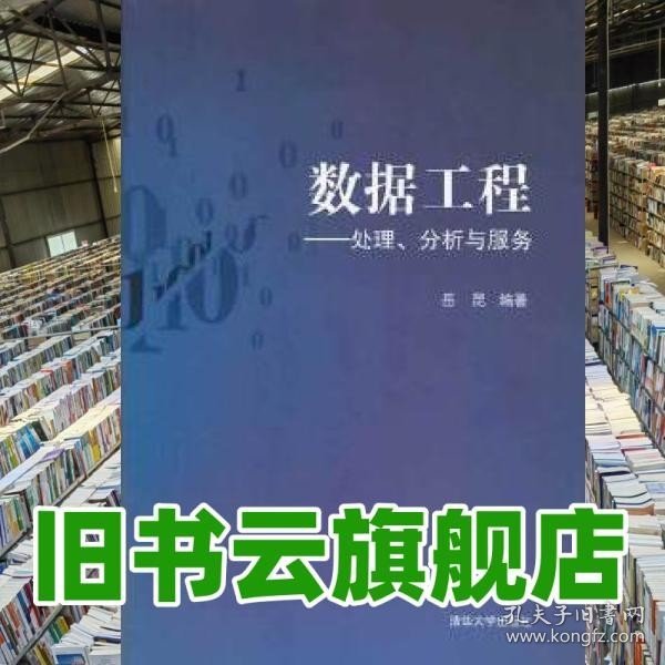 数据工程：处理、分析与服务