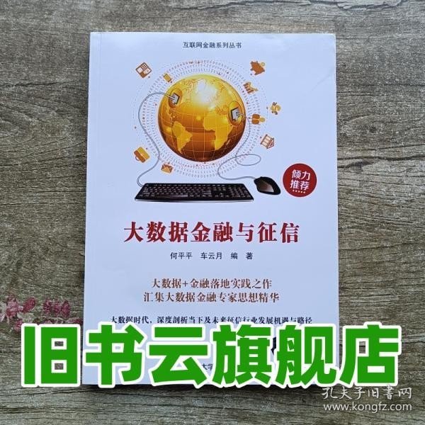 大数据金融与征信/互联网金融系列丛书