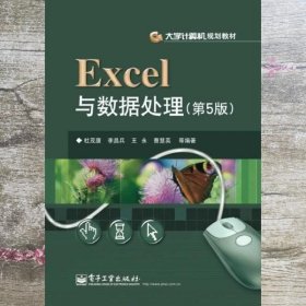 Excel与数据处理 第五版第5版 杜茂康 电子工业出版社9787121219993