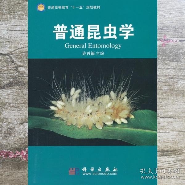 普通昆虫学