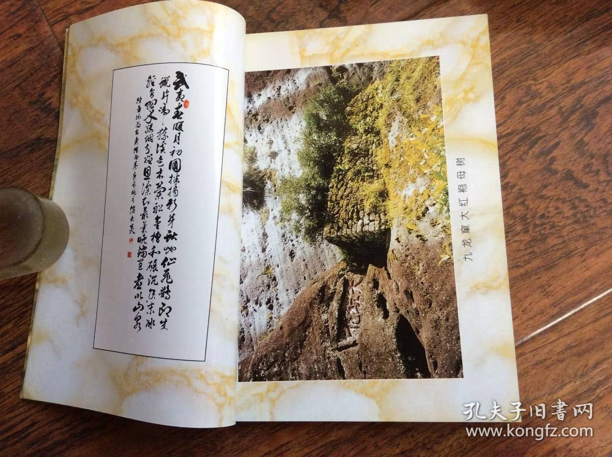 漫话武夷山茶文化