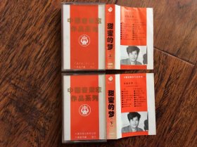 磁带，中国音乐家作品系列---甜蜜的梦上下【公秀华音乐作品选】