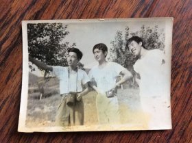 老照片，3个年轻男子合影【在果园】