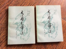 文心雕龙译注上下
