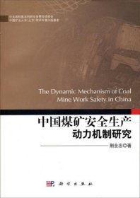 中国煤矿安全生产动力机制研究