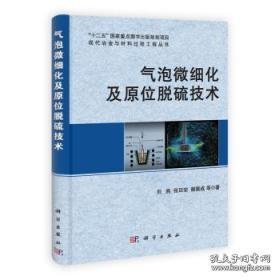 “十二五”国家重点图书出版规划项目·现代治金与材料过程工程丛书：气泡微细化及原位脱硫技术