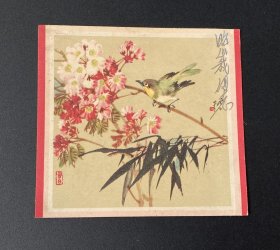 小画片：花鸟