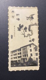 贺年片（照片式）：恭贺新禧（华东水利学院）/1964年