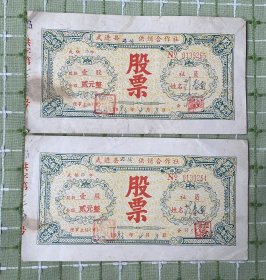 纸品（杂项）：武进县供销合作社股票2张合售（每股贰元）/1983年