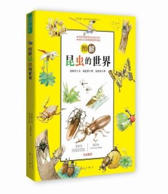 图解昆虫的世界：我的第一堂科学知识课系列1