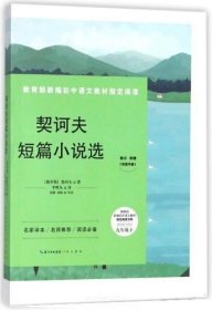 正版图书009 契诃夫短篇小说选 9787540349738 崇文书局 [俄]契诃