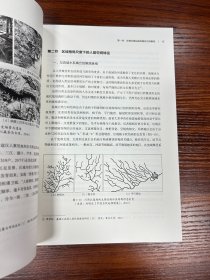 川西北高原传统聚落空间结构与形态