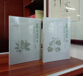 彝药本草.（上下册）【现货全新正版带封膜】