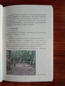 墨江哈尼族“埔玛兔”文化和谐关系研究