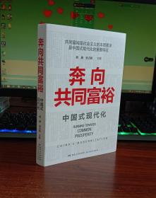 奔向共同富裕（读懂共同富裕，看清未来中国！深入浅出，雅俗共赏，两大TOP级智库联袂巨献，通俗理论重磅大作！）