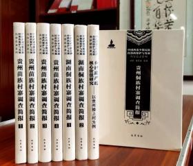 中国西南少数民族村落的保护与发展丛书：（全8册）