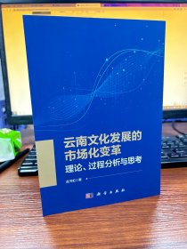 云南文化发展的市场化变革：理论、过程分析与思考