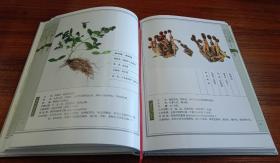 彝药本草（上 下卷）【现货全新正版带封膜】